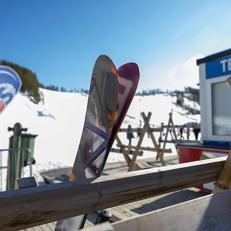 Lomahuvila Himoksen Pistaasi Villa